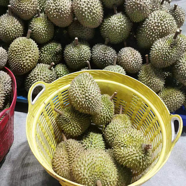 榴莲